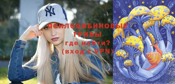 винт Аркадак